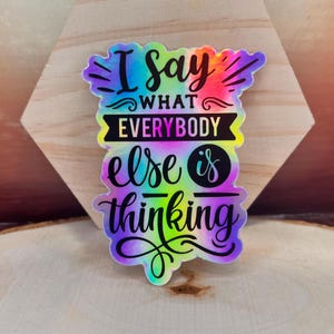 I Say What Everybody Else Is Thinking Vinyl Sticker, Waterproof, Dishwasher Safe, Holographic, Shiny Sticker, Sarcastic Adult Joke gift