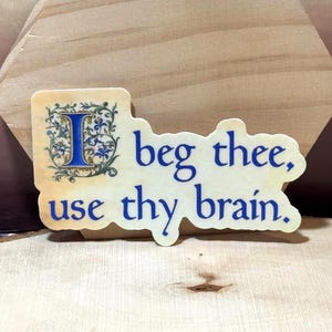 Op de afbeelding: Een rechthoekige sticker met een crèmekleurige achtergrond en de blauwe tekst I beg thee, use thy brain. De letter I is gestileerd met een ingewikkeld blauw en groen bloemmotief. De sticker heeft een gestanste rand en een gladde afwerking.