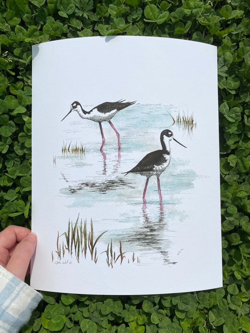 FREE SHIPPING Giclee Textured Art Print Black-necked Stilts Pen and Watercolor Handmade Drawing Unframed Bird Art Nature Art Work