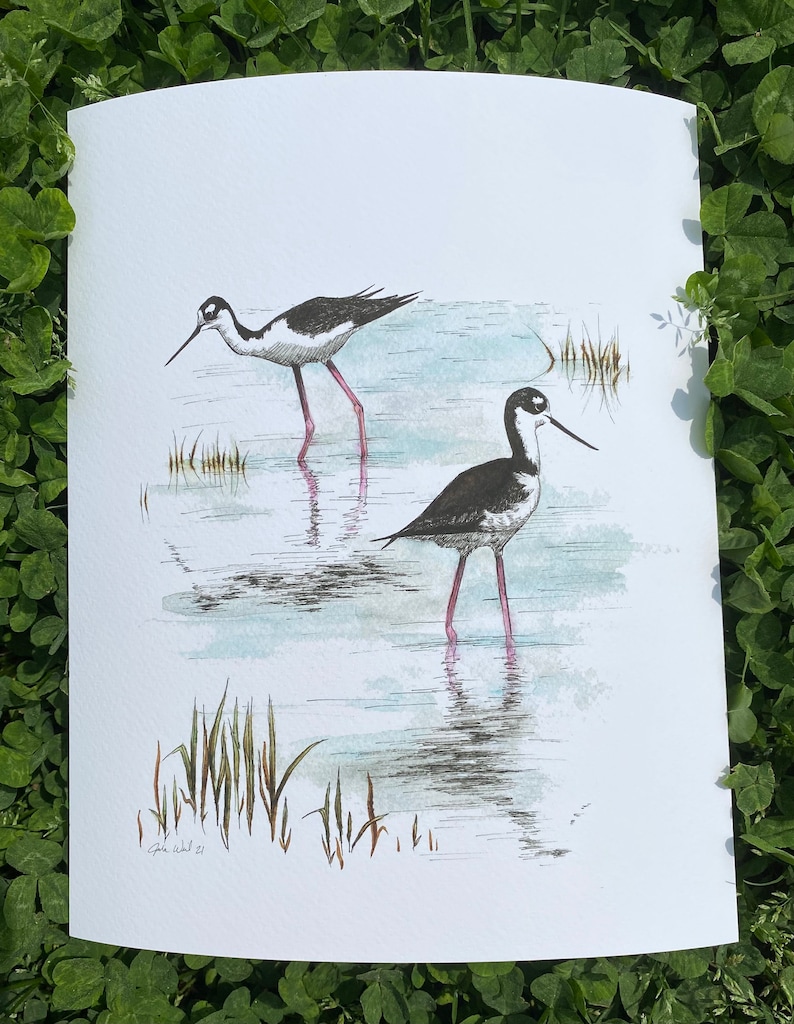 FREE SHIPPING Giclee Textured Art Print Black-necked Stilts Pen and Watercolor Handmade Drawing Unframed Bird Art Nature Art Work
