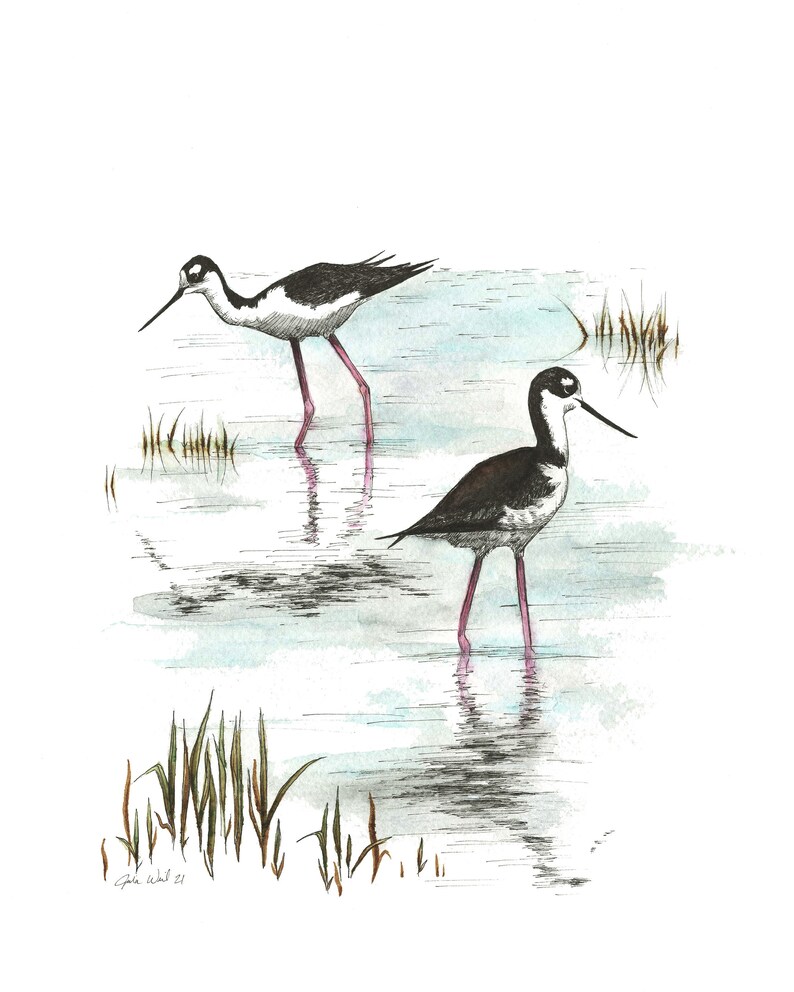 FREE SHIPPING Giclee Textured Art Print Black-necked Stilts Pen and Watercolor Handmade Drawing Unframed Bird Art Nature Art Work