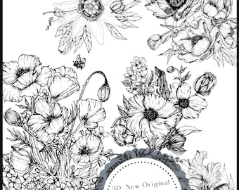 Botanicals III  an Adult Coloring Book by Morgan Taylor