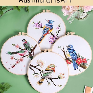 Bird Embroidery Kit, Colorful Birds Flowers Needlework Embroidery Kit, DIY Beginner Hand Needlepoint Embroidered Kit, Home Decoration Gifts