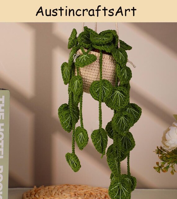 Crochet Starter Set Beginner Crochet Kit - 4 Hanging Potted Plants DIY ...