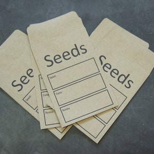 Op de afbeelding: Drie bruine papieren zaadzakjes met etiketten waarop "Seeds" staat en ruimte voor de zaadnaam, datum en notities.