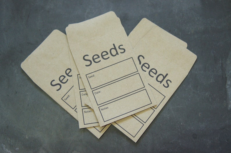 Op de afbeelding: Drie bruine papieren zaadzakjes met etiketten waarop "Seeds" staat en ruimte voor de zaadnaam, datum en notities.