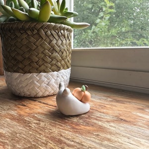 May include: A white ceramic snail figurine with a small orange pumpkin on its back. The snail is sitting on a wooden surface next to a woven plant pot with green succulents.