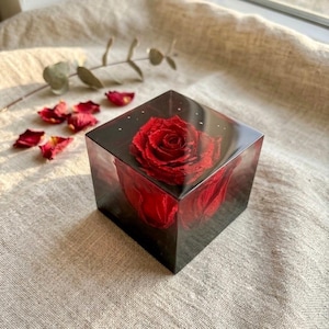Puede incluir: Una vibrante rosa roja encapsulada en un bloque de resina transparente y cuadrado. Los pétalos de la rosa son claramente visibles. Pétalos de rosa rojos y vegetación dispersos complementan el conjunto. Presentado sobre una superficie de tono neutro.