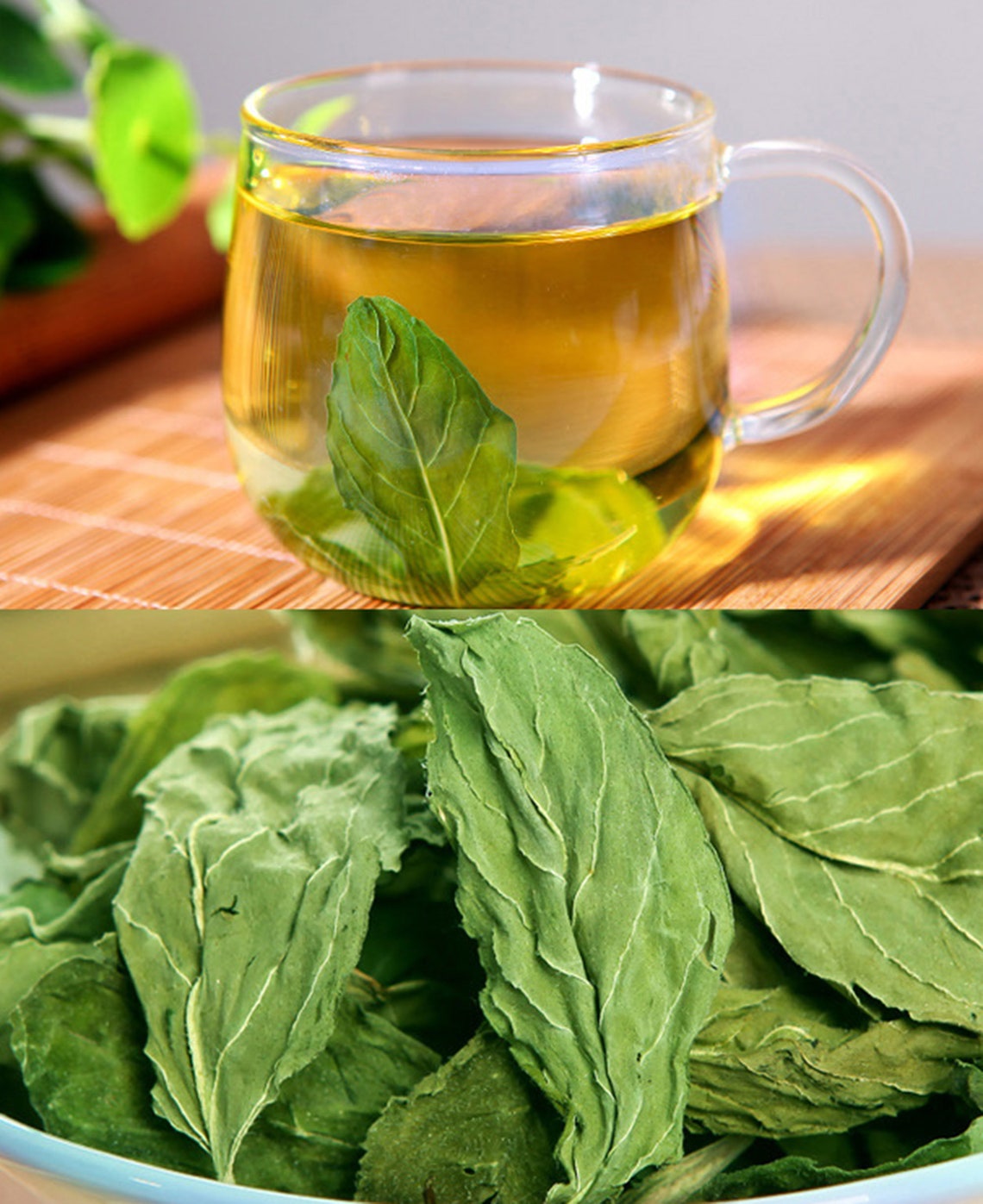 dried mint tea dried mint tea