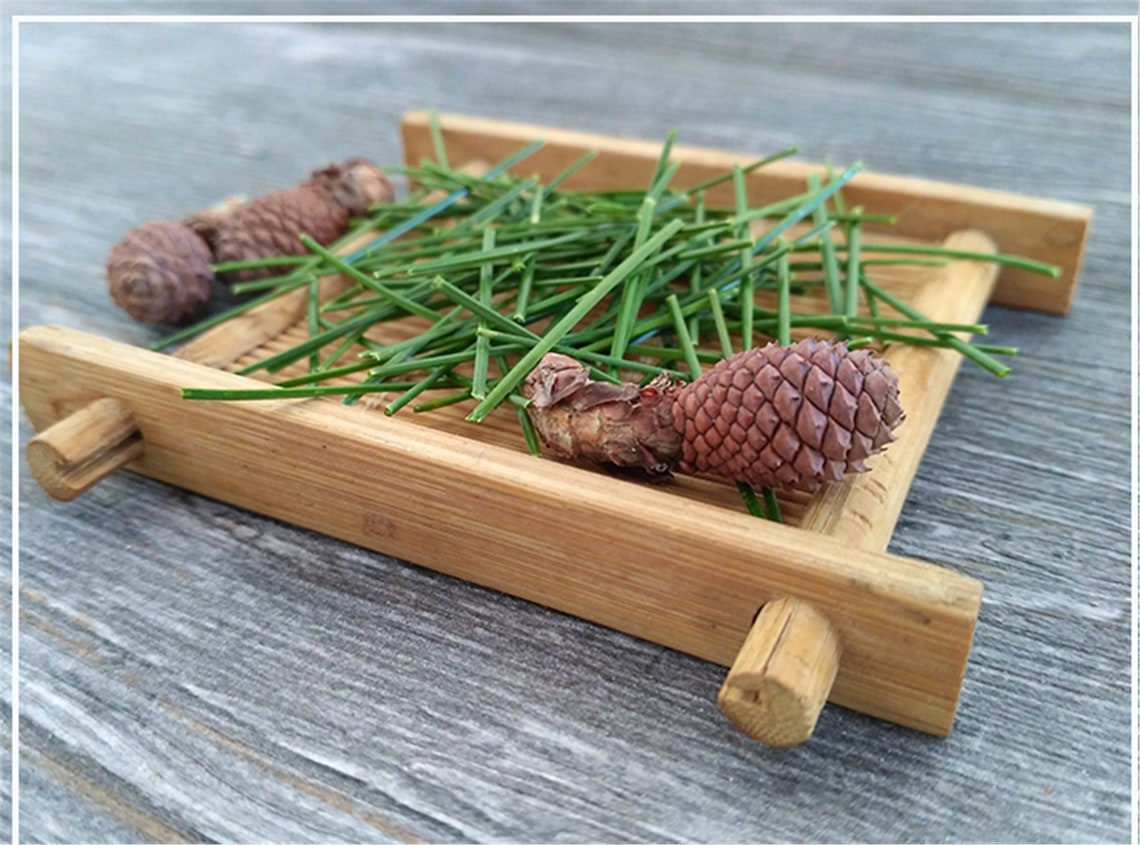 Handmade Wild Pine Needle Tea Dried Pine Needle Dried Herb Etsy