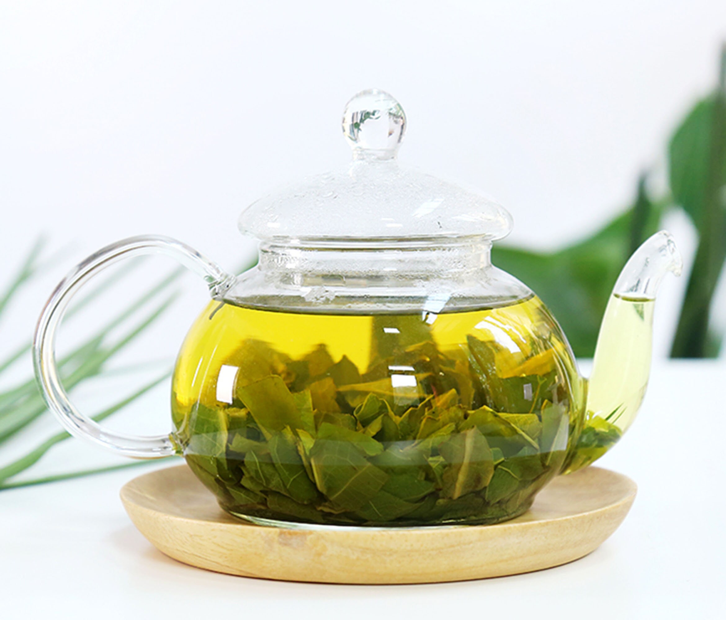 Lotus Leaf Tea Tea Flower Tea Dried Lotus Leaf Tea Dried Etsy