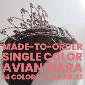 May include: A silver wire tiara with crystal rhinestones. The tiara is made to order in 14 colors. MADE-TO-ORDER SINGLE COLOR AVIAN TIARA 14 COLORS AVAILABLE!