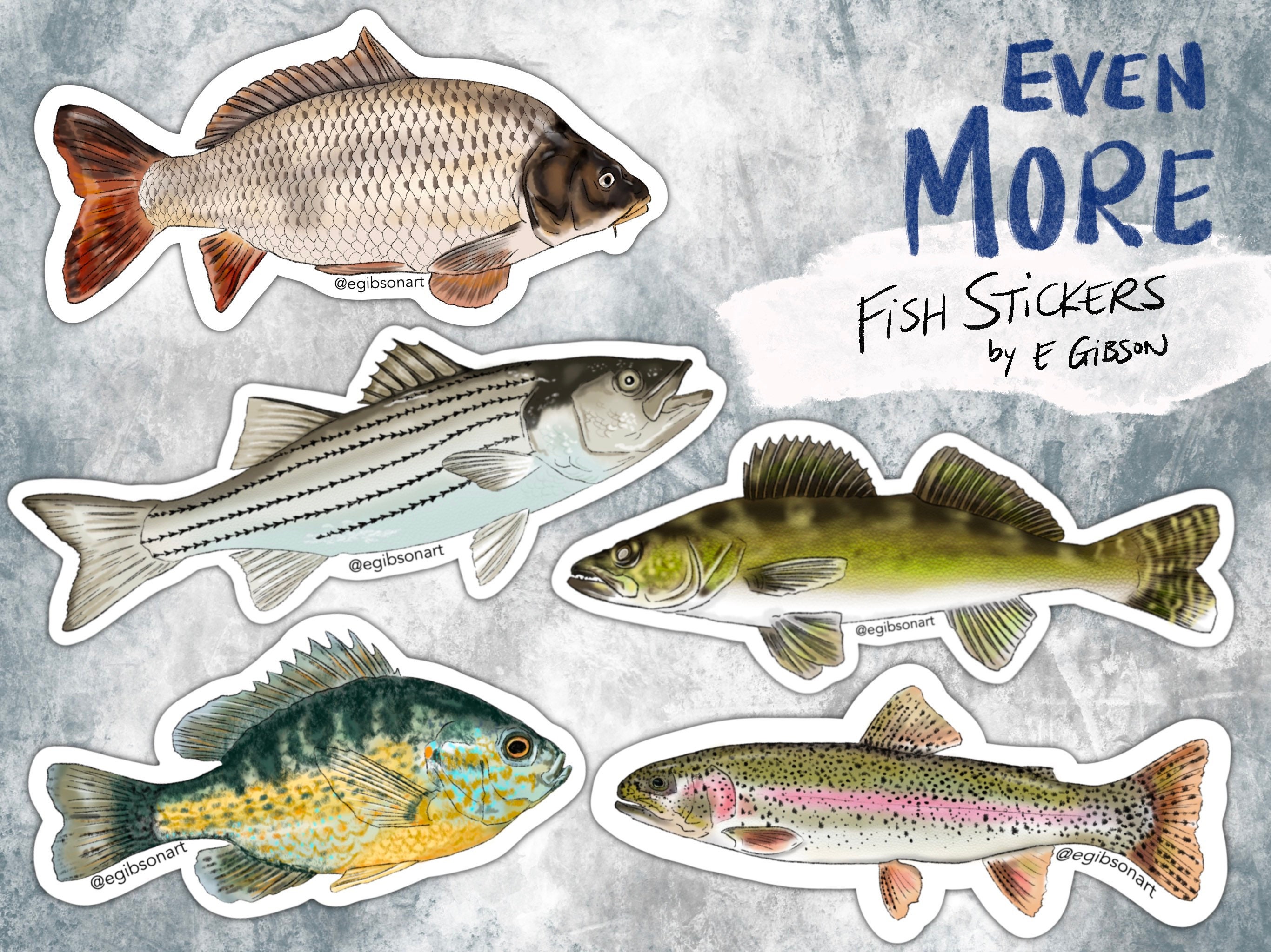 Fish Stickers -  Canada
