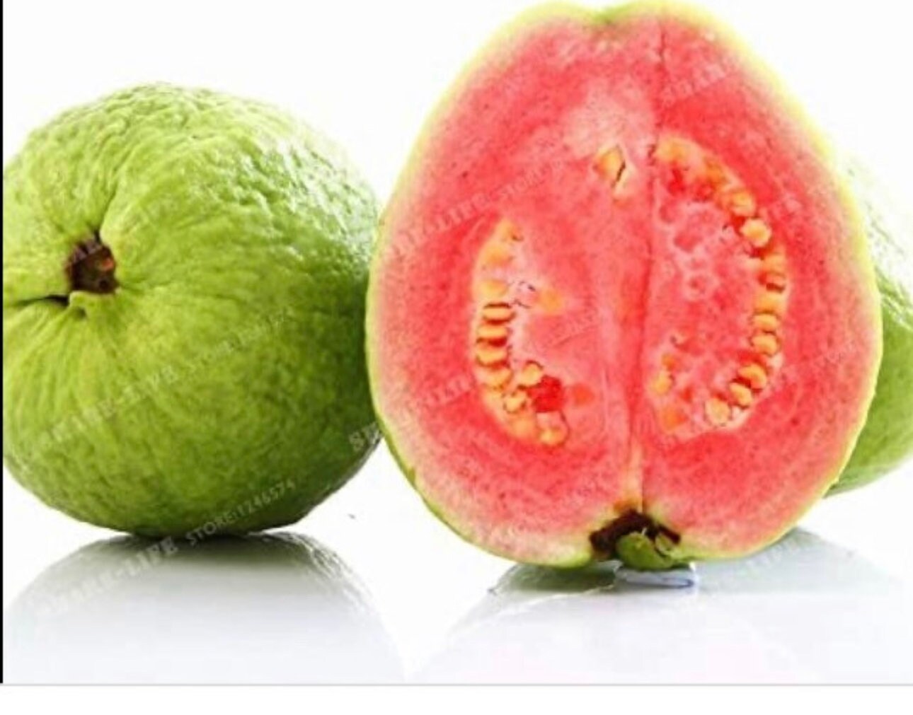 Grafted guava trees - Etsy 日本