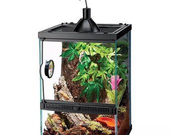 Reptile Vertical Starter Kit with Mini Halogen Lighting