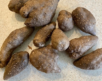 Bulbillos de ñame de San Vicente, 8 onzas de semillas de ñame, cantidades limitadas.