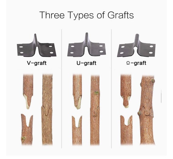 FunTECK 2-en-1 Grafting Tools Pruner Kit, V-Graft Omega-Graft et U