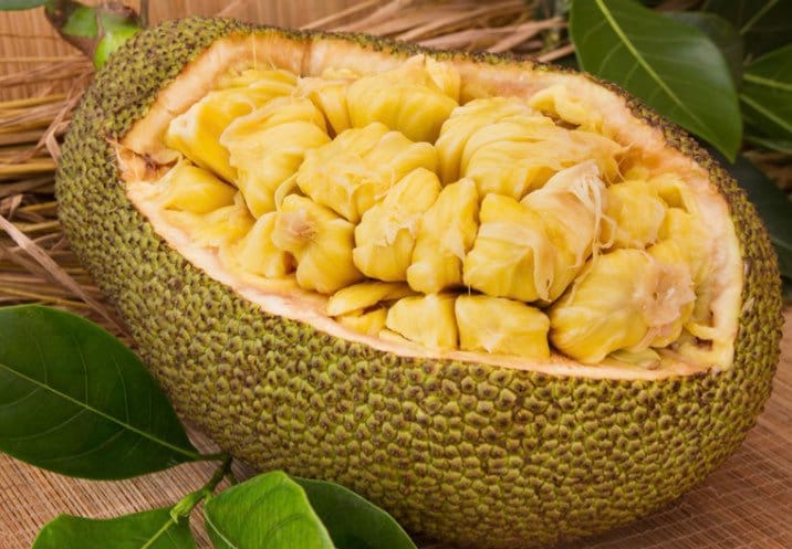 収穫したてのジャックフルーツの種 - Etsy 日本