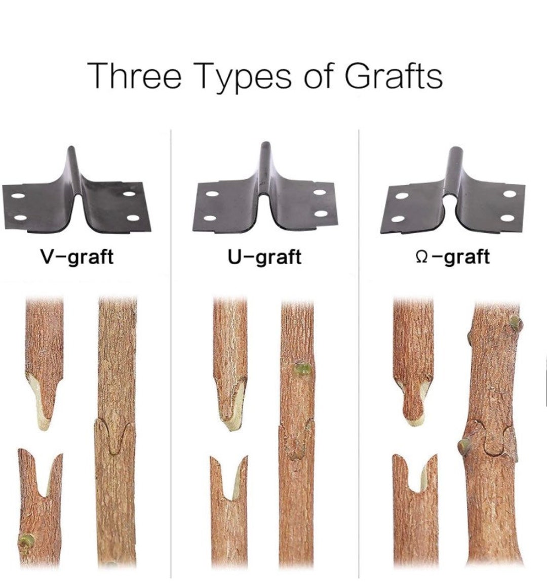 FUNTECK 2in1 Grafting Tools Pruner Kit, Vgraft Omegagraft and U