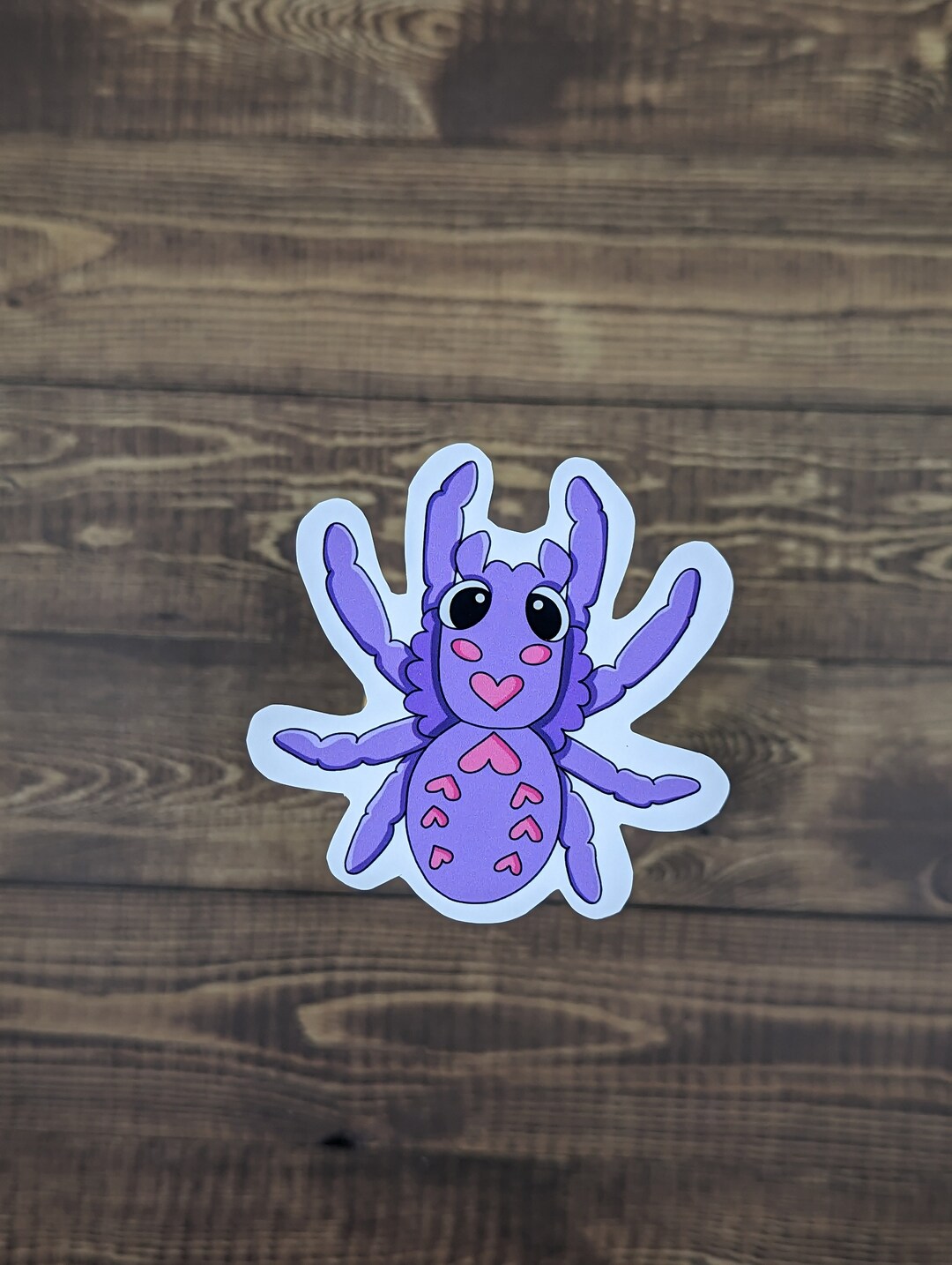 Spider Sticker - Etsy