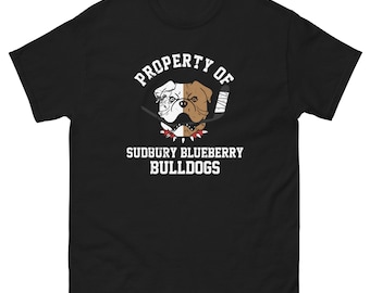 Stitched Shoresy Sudbury Blueberry Bulldogs Hockey Jersey Shore #69  Letterkenny