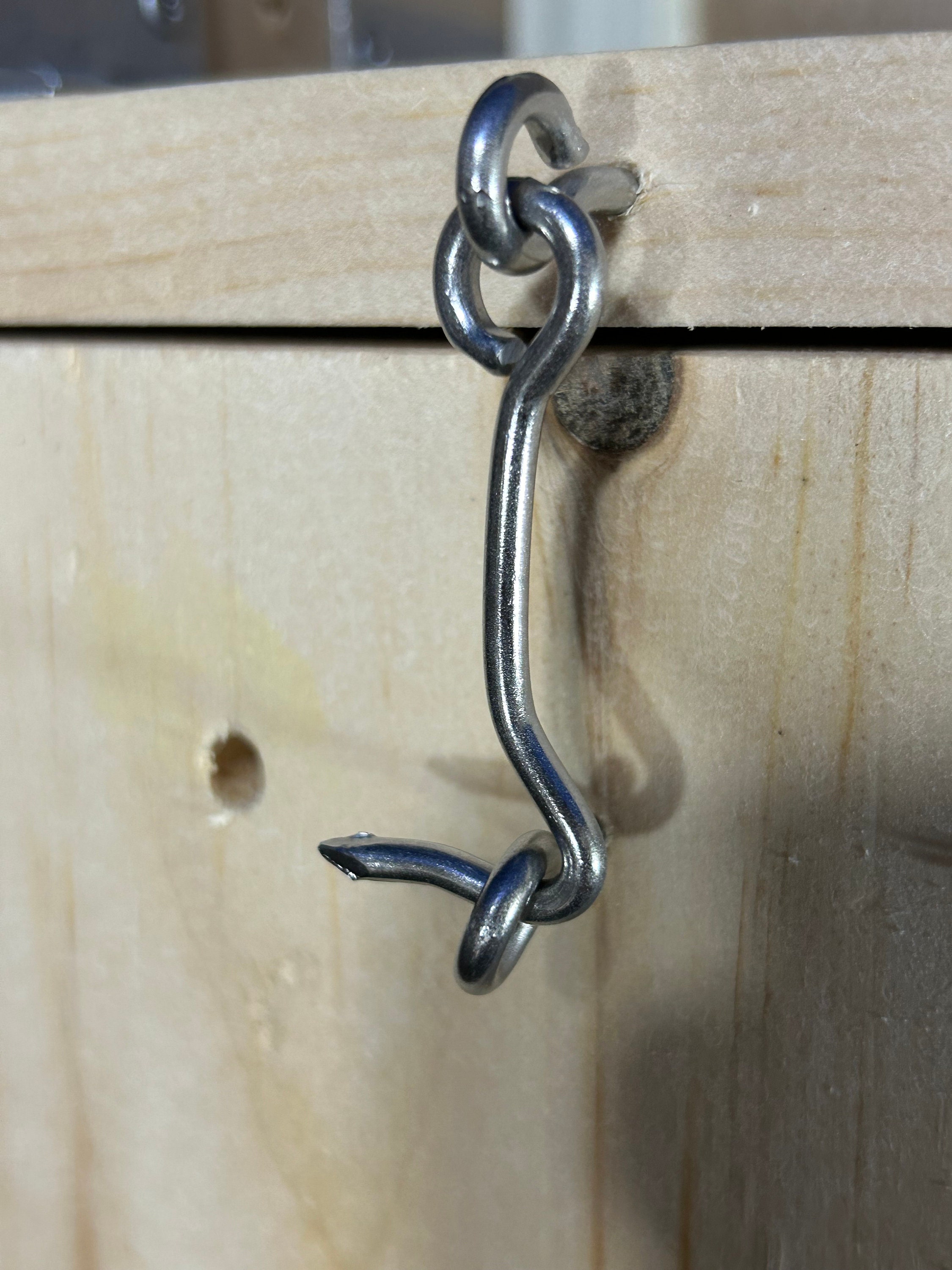 Bluebird House Camera Ready Bluebirds - Etsy