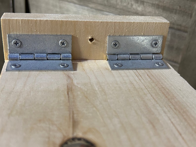 Bluebird House Camera Ready Bluebirds - Etsy