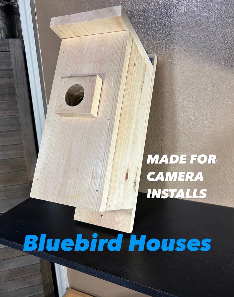 Bluebird House Camera Ready Bluebirds - Etsy