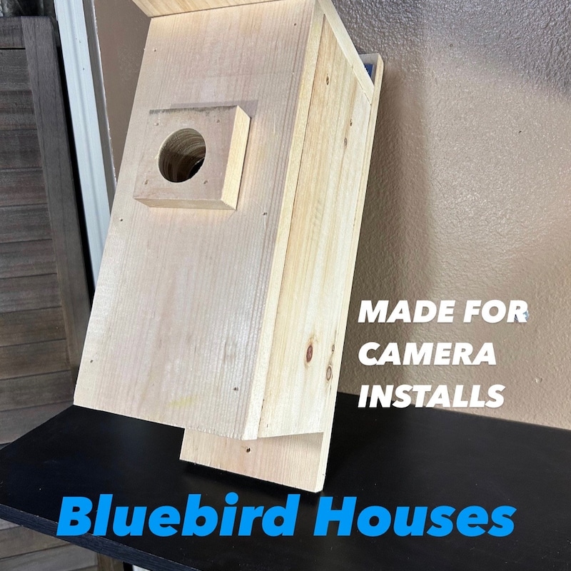Bird House With Camera Etsy Bird house with camera etsy