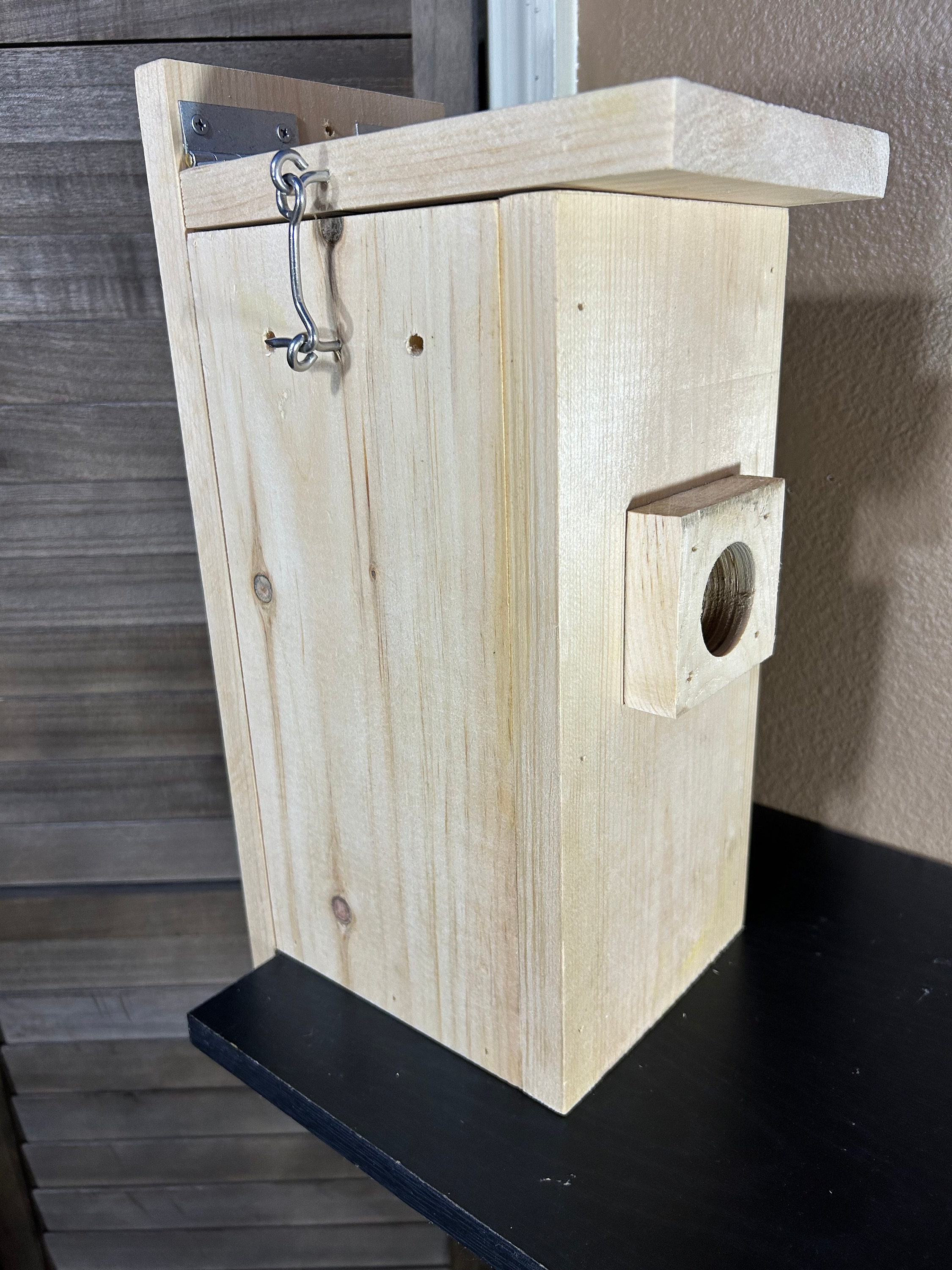 Bluebird House Camera Ready Bluebirds Etsy