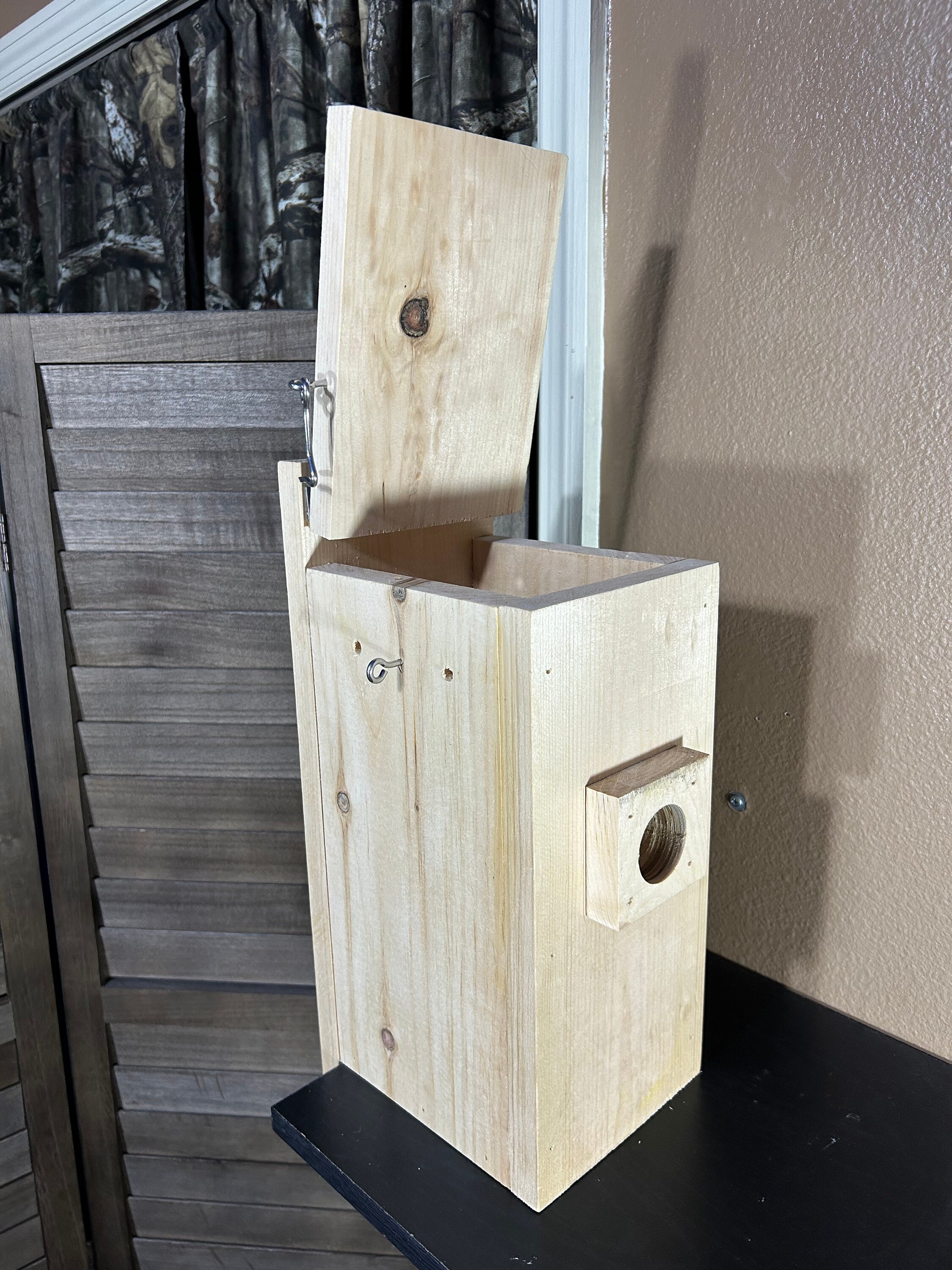 Bluebird House Camera Ready Bluebirds - Etsy
