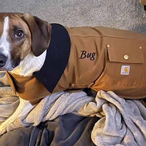 May include: A dog wearing a brown and black dog coat with the name "Bug" embroidered on it. The coat has a black collar and a pocket. The dog is lying on a pile of blankets.