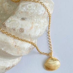 18k Gold Filled Shell Necklace, Gold Filled Dainty Shell Necklace, Tiny Shell Necklace, Summer Necklace, Gift For Her, Gold Jewelry, Beach