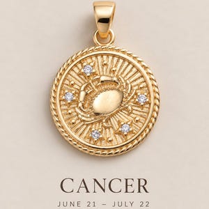Gold Zodiac Necklace Personalized Gift For Her Scorpio Sagittarius Libra Aquarius Pisces Zodiac Jewelry Gift For Women Birthday Gift
