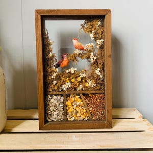 Vintage Hazel Kaboodles HK34 Finestra sulla primavera Diorama Uccelli Semi Shadow Box
