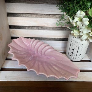 May include: A light pink, seashell-shaped decorative dish. The dish has a scalloped edge and a ridged, spiral design on one end. The dish is displayed on a wooden shelf with a white vase of flowers in the background.