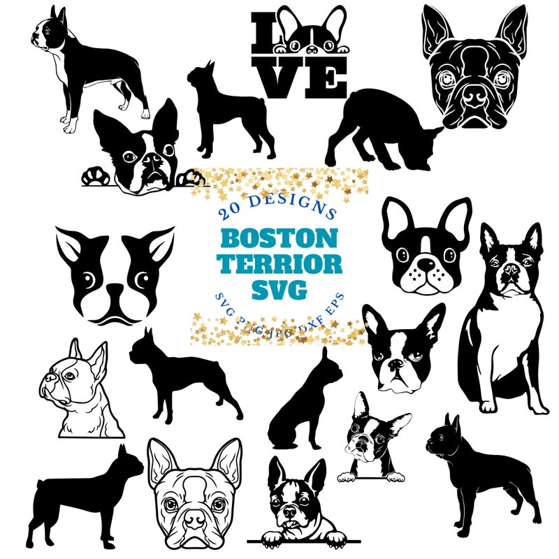 Boston Terrier Svg - Etsy