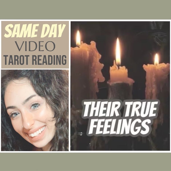 Revealing Their True Feelings: Same-Day Personalized Video Tarot Reading for Insight into a Specific Person's Heart