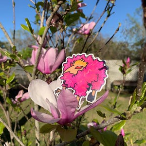 Weird Doflamingo Stickers