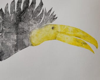 Toucan noir ou bleu