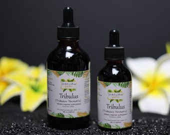 Tribulus (Tribulus Terrestris) Dried Fruit Alcohol-Free Liquid Extract