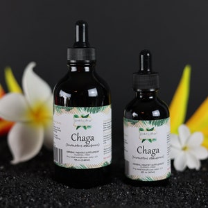 Chaga alkoholfrei (inonotus obliquus) ganzer Pilz getrocknete Tinktur Flüssigextrakt