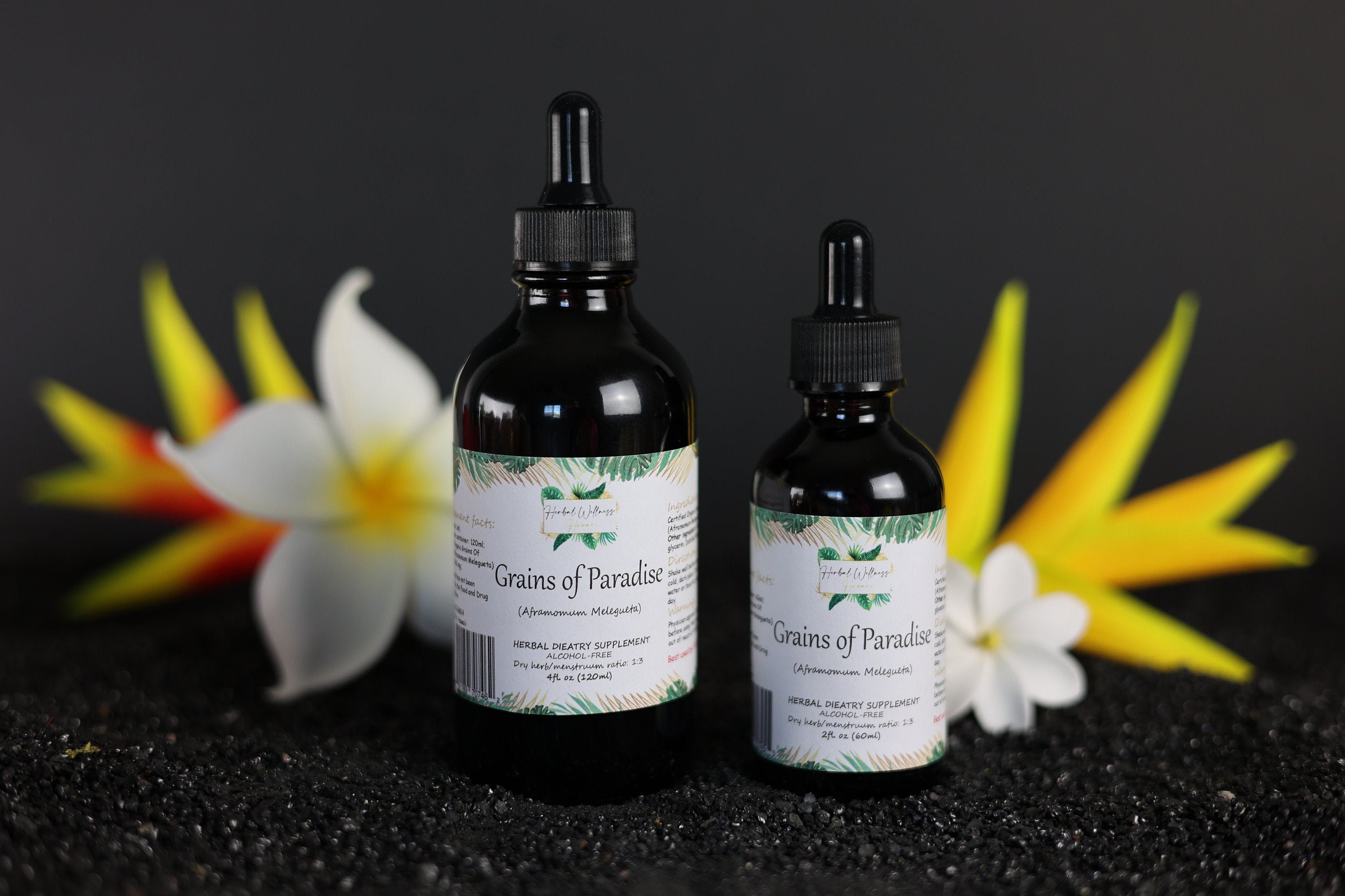 Grains of paradise alcohol-free (aframomum melegueta) seeds tincture