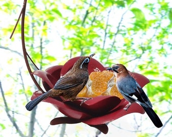 Hummingbird Feeders Etsy