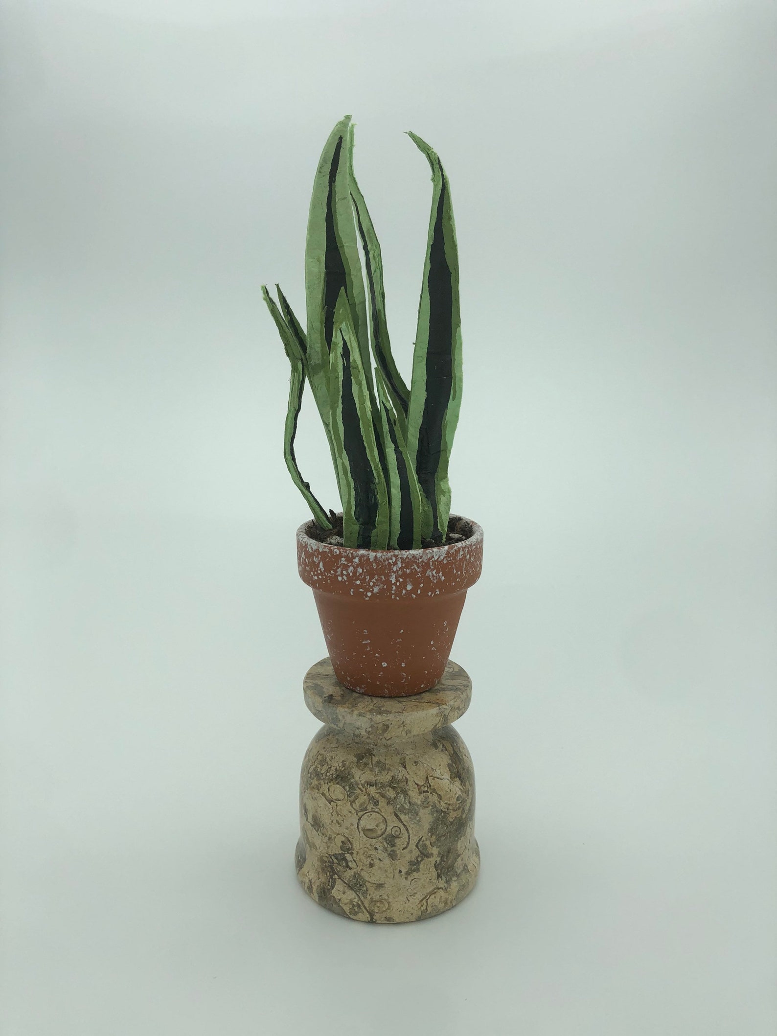 Handmade Miniature Snake Plant // Sansevieria // 112