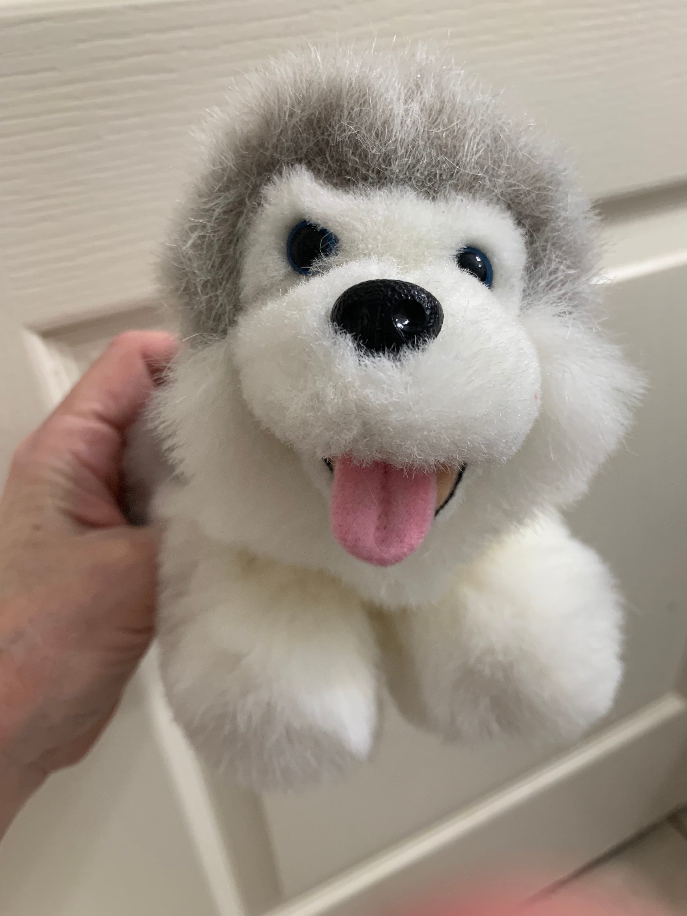 Small Husky Dog. Open Mouth, Pink Tongue, Blue Eyes Plush