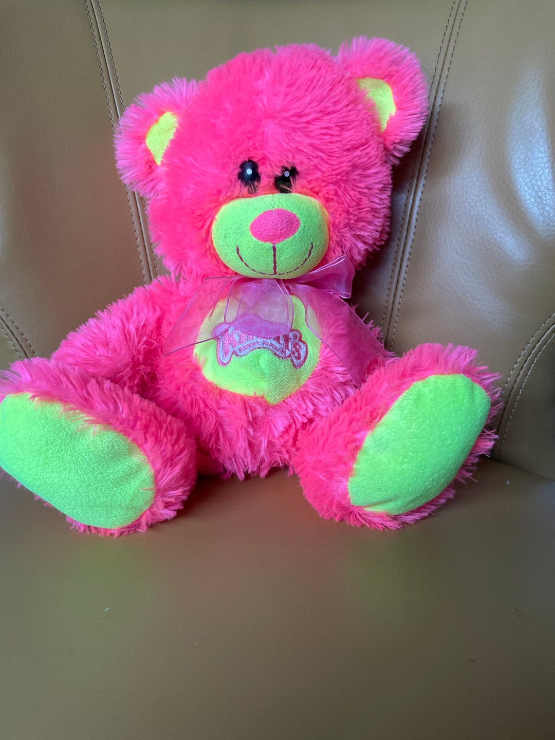 Buy Knotts Berry Farm Pink Teddy Bear Online in India - Etsy