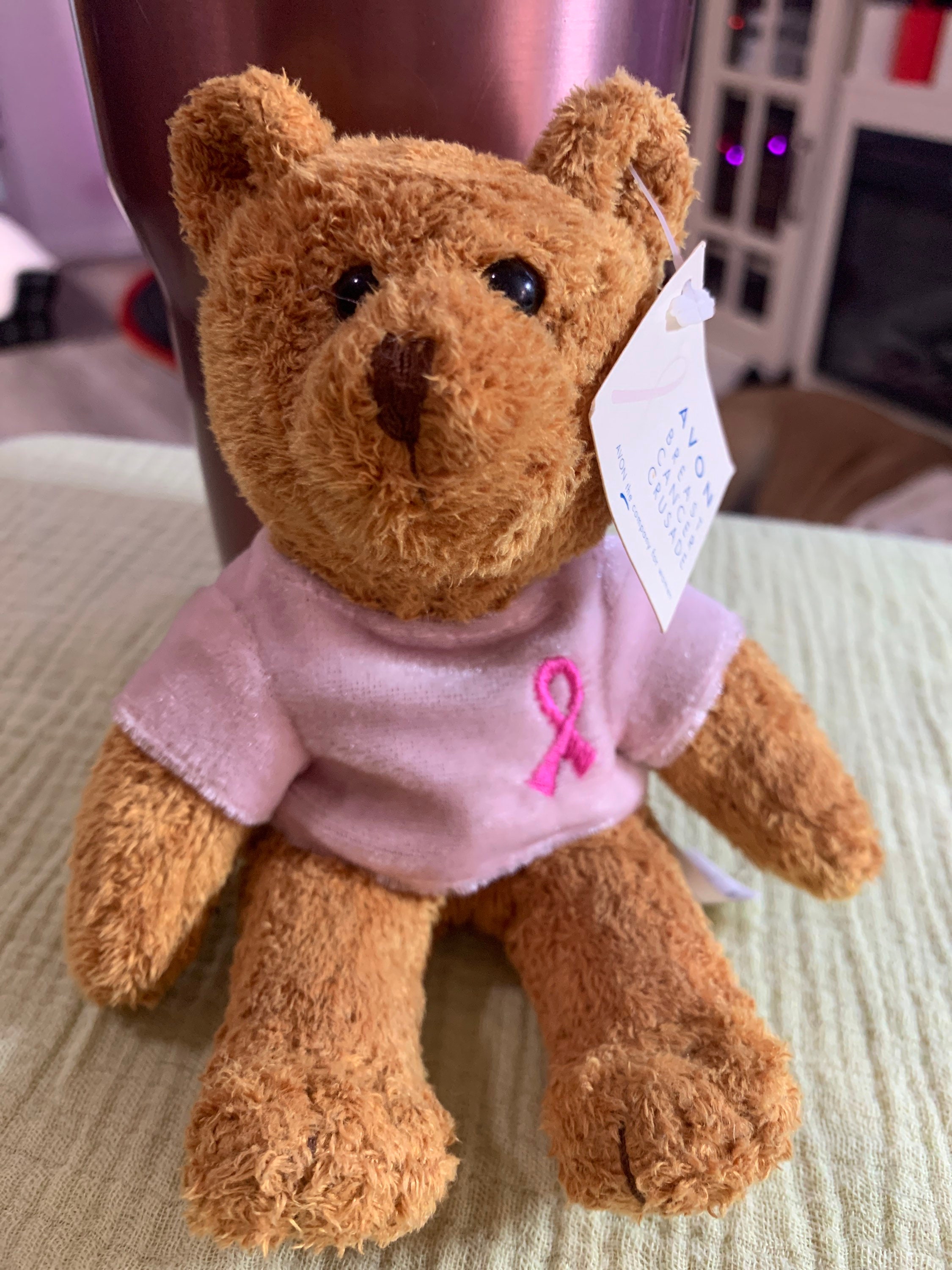 avon talking teddy bear instructions