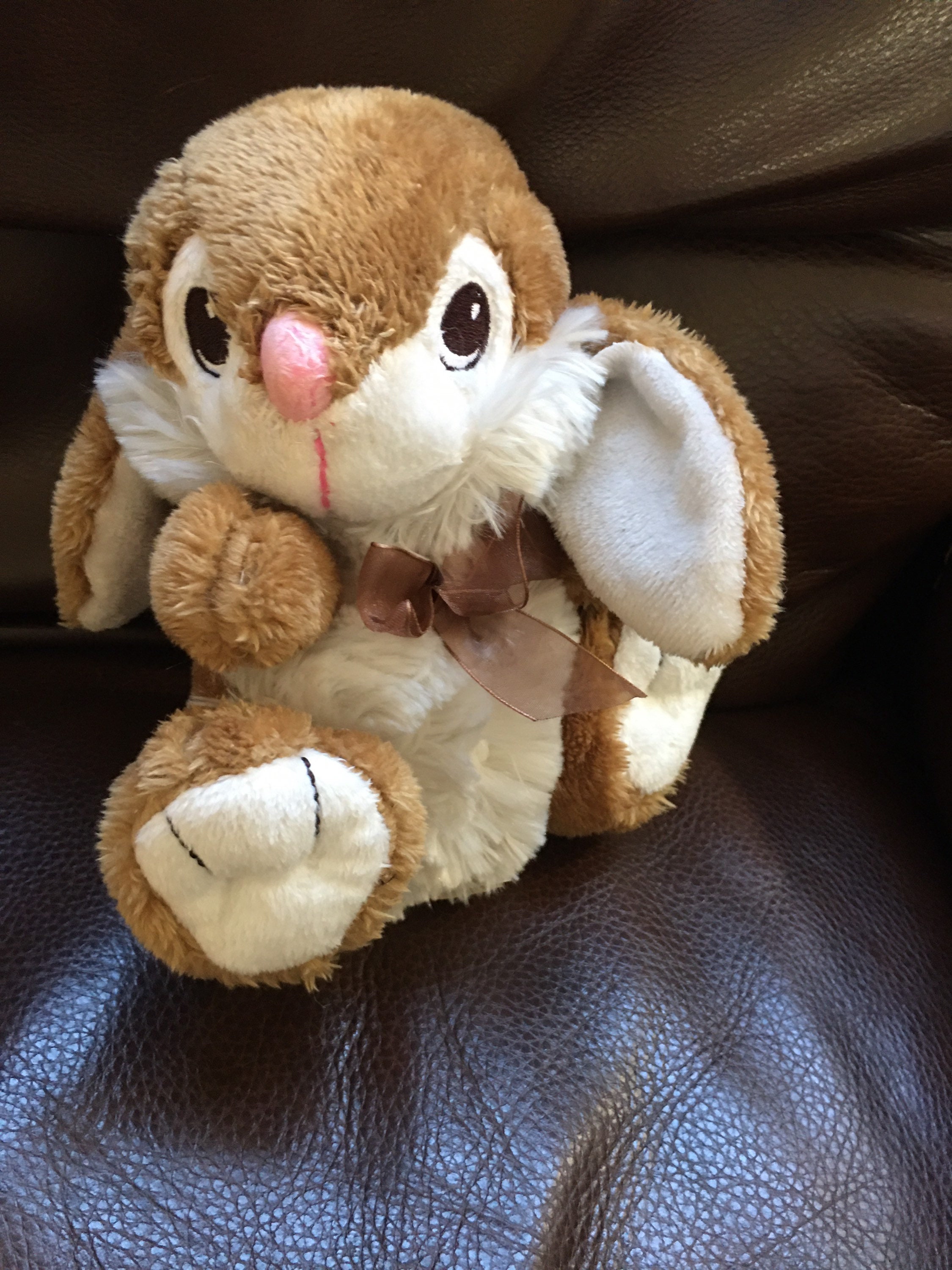 dandee bunny