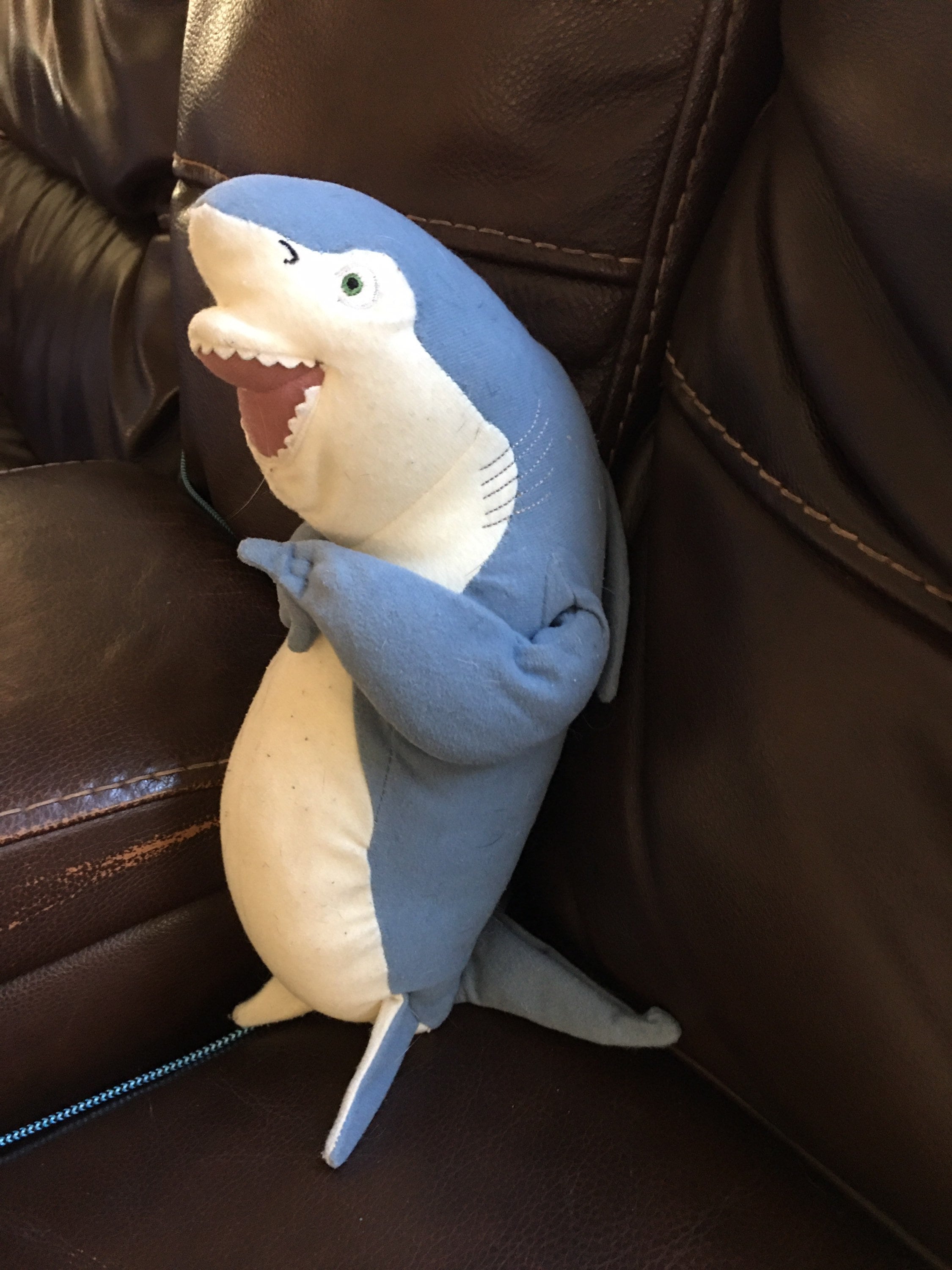Shark Tail Aj Worth